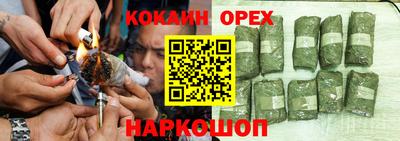 прущие крисы Тара