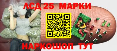 прущие крисы Тара