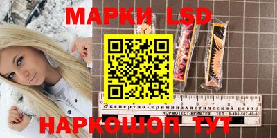 сатива Тверь