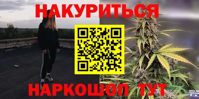 сатива Тверь